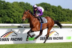 Eindrucksvoller Sieger: Nutan gewinnt mit Andrasch Starke das Dreijährigen-Rennen über 2.200 Meter in Köln. Foto: Dr. Jens Fuchs