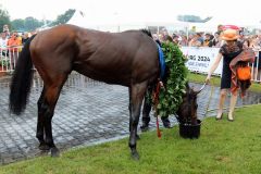 Der Derbysieger Nutan mit Gisela Schiergen. Foto: Dr. Jens Fuchs