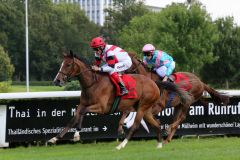 Löste ihre Aufgabe beim Debut leicht: Die Soldier Hollow-Tochter Nymeria siegte mit Alexander Pietsch für den Stall Grafenberg für Peace of Paradise (Eugen Frank). Foto: Dr. Jens Fuchs