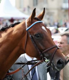 One Foot in Heaven am 11.09.2016 in Chantilly (Foto: Dr. Jens Fuchs)