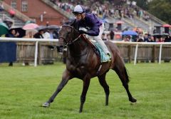 Persian Dreamer wird im Regen von Newmarket Gr. II-Siegerin. Foto: courtesy by Coolmore