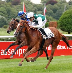 Rashiba gewinnt am 20.8.2017 in Düsseldorf - Foto: Dr. Jens Fuchs