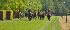 Nachschau Hoppegarten 04. Juni 2017