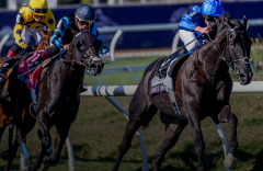 Der große Rebel's Romance gewinnt erneut den Breeders' Cup Turf. Foto: Breeders' Cup