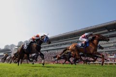 Red Cadeaux mit Gerald Mosse  ist der Sieger der  Longines Hong Kong Vase. www.galoppfoto.de - Frank Sorge