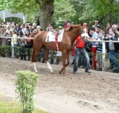 Sommernachtstraum am 07.08.2011 in Düsseldorf. Foto G. Suhr