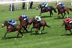 Der beste ältere Meiler in Europa: Ribchester gewinnt die Queen Anne Stakes. www.galoppfoto.de