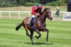 Aufgalopp zum Münchner Maiden mit Andrasch Starke. Foto: Dr. Jens Fuchs