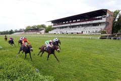 Sieg vor leerer Tribüne: Rubaiyat setzt sich gegen Zavaro und Fearless King durch. www.galoppfoto.de