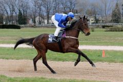 Aufgalopp vor ihrem Maidensieg mit Andreas Helfenbein (Foto: Dr. Jens Fuchs)