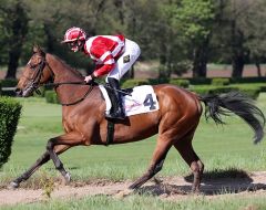 Saint Andrews am 27.04.2019 in Düsseldorf - Foto: Dr. Jens Fuchs