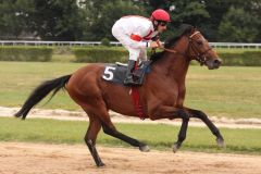 Saltas mit Andrasch Starke beim Aufgalopp. www.galoppfoto.de