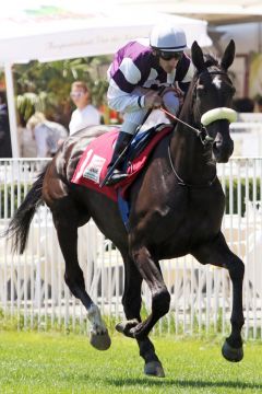 Salve Estelle mit Andrasch Starke beim Aufgalopp in Baden-Baden. www.galoppfoto.de - Sarah Bauer