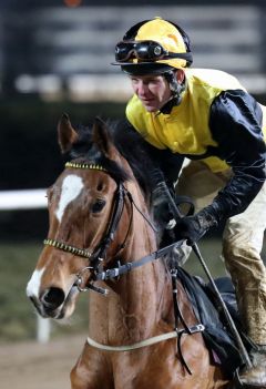 Sarai mit Jozef Bojko am 11.02.2017 in Neuss  Foto: Dr. Jens Fuchs