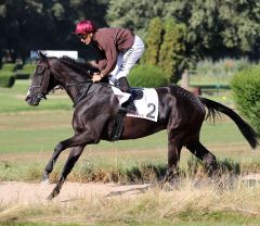 Scapina am 19.8.2018 in Düsseldorf - Foto: Dr. Jens Fuchs