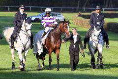 Schimmelbegleitung für Wake Forest und Eduardo Pedroza nach dem Sieg im 24. Preis der Deutschen Einheit. www.galoppfoto.de - Sabine Brose