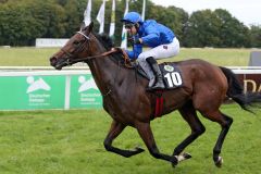 Die weite Reise hat sich für den Schützling von Henri Alex Pantall gelohnt - Alpenrose (Jean-Luc Guillochon) gewinnt sicher vor Rubaiyat (Michael Cadeddu) und Best Lightning (Rene Piechulek). im Großen Preis der Landeshauptstadt Dresden, Gr. III: . ©Turf-Times/Galoppfoto - Sabine Brose/Frank Sorge