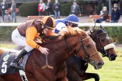 Sir Vulcano (links) mit Jozef Bojko gewinnt im 2yo-Maiden in Dresden. ©galoppfoto - Frank Sorge