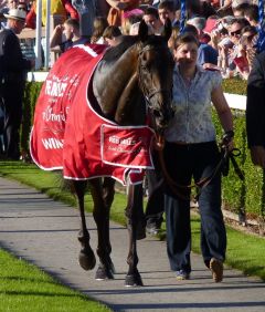 Das war der siebte Gr. I-Streich: Snow Fairy setzt ihre Erfolgsgeschichte auch in den Red Mills Irish Champion Stakes fort. Foto: Heidrun Küster 