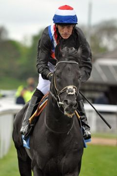 Society Rock mit Kieren Fallon beim Aufgalopp in York. www.galoppfoto.de - John James Clark