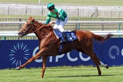 Ein Cantersieg von Sottsass im Prix du Jockey Club, Cristian Demuro jubelt schon vor dem Ziel. www.galoppfoto.de - Sandra Scherning