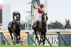 Suave Richard gewinnt unter Oisin Murphy den Japan Cup. www.galoppfoto.de - Yasuo Ito