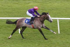 Success siegt souverän in den Derrinstown Stud Derby Trial Stakes. Foto: ITM