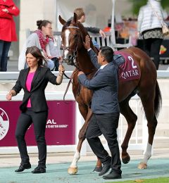 Taareef gewinnt den Prix Wildenstein am 10.9.2018 in Chantilly - Foto: Dr. Jens Fuchs