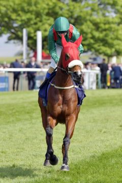 Tahiyra vor einigen Wochen in Newmarket. www.galoppfoto.de - JJ Clark