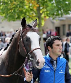 Talismanic am 10.9.2018 in Chantilly - Foto: Dr. Jens Fuchs