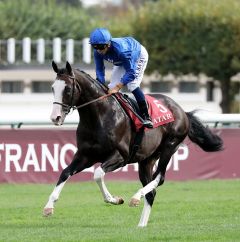 Talismanic am 16.9.2018 in Longchamp - Foto: Dr. Jens Fuchs