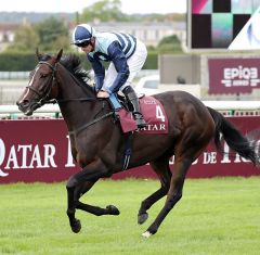 The black princess am 10.9.2018 in Chantilly - Foto: Dr. Jens Fuchs