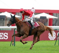 The Revenant gewinnt den Prix Wildenstein am 5.10.2019 in Longchamp - Foto: Dr. Jens Fuchs