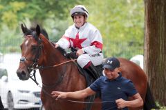 Thekingofmyheart mit Stefanie Koyuncu nach dem dem Dortmunder Maidensieg. ©galoppfoto - Stephanie Gruttmann