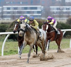 Town Charter gewinnt am 29.12.2018 in Neuss - Foto: Dr. Jens Fuchs