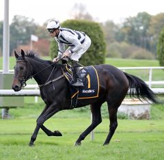 Tracking am 10.8.2017 in Dortmund - Foto: Dr. Jens Fuchs