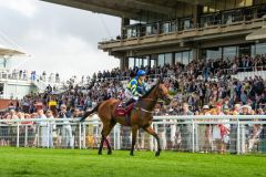 Trueshan unter Hollie Doyle, die Sieger im Goodwood Cup. Foto: courtesy by Goodwood Racecourse