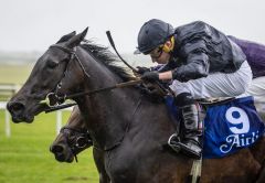 Truly Enchanting jässt die Royal Ascot-Schlappe schnell vergessen. Foto: courtesy by Coolmore