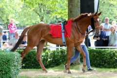 Turflady am 21.05.2016 in Mülheim (Foto: Dr. Jens Fuchs)