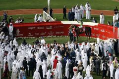 Mittendrin: Der Dubai World Cup-Sieger Ushba Tesoro. www.galoppfoto.de