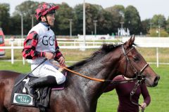 Velato mit Dastan Sabatbekov nach dem Sieg im Dreijährigen-Sieglosenrennen in Dortmund. ©galoppfoto - Stephanie Gruttmann