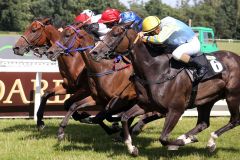 Vier Pferde (fast)  in einer Linie, aber Otto, der zweite von links, streckt seinen Kopf in Front, der Siegreiter heißt wieder einmal Bauyrzhan Murzabayev. www.galoppfoto.de - Sabine Brose