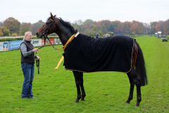 Vif Monsieur und seine Betreuerin Renate Beltermann. Foto: Dr. Jens Fuchs