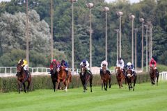 Dreimal sah Virginia Sun in diesem Jahr die Konkurrenz nur von hinten, jetzt gewann die Doyen-Tochter mit Adrie de Vries das St. Leger in Dortmund mit deutlichem Vorsprung. Foto: Dr. Jens Fuchs