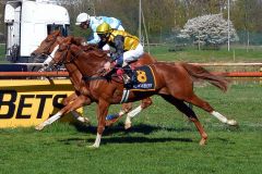 Ein typischer Adlerflug: Waldadler gewinnt in Bremen. www.galoppfoto.de - Kira Kaschek