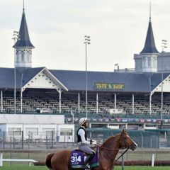 Waldgeist vergangenen Herbst in Churchill Downs. www.galoppfoto.de - JJ Clark