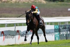 Die Schwester der beiden Derbysieger Windstoß und Weltstar machte mit Andrasch Starke eine sehr gute Figur im Kölner Maidenrennen, die Dubawi-Tochter hat sowohl eine Nennung für das Derby als auch für die Diana. ©Dr. Jens Fuchs