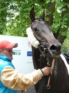 Wellenspiel nach ihrem Sieg in Düsseldorf am 19.06.2011 (Foto: Gabriele Suhr)