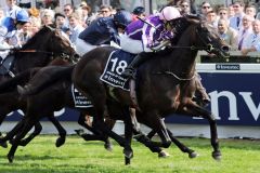 Wings of Eagles sorgt im Epsom Derby für eine Sensation. www.galoppfoto.de