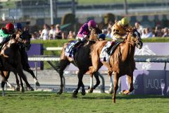 Wise Dan mit John Velazquez als Sieger in der Breeders' Cup Mile vor der heranstürmenden Animal Kingdom (rot-grüner Dress, links). www.galoppfoto.de - Petr Guth